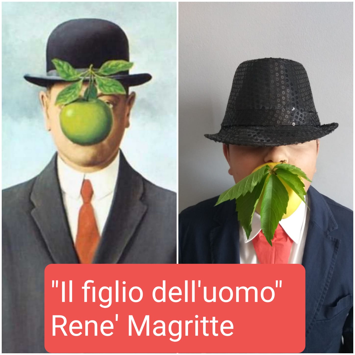 Immagini album